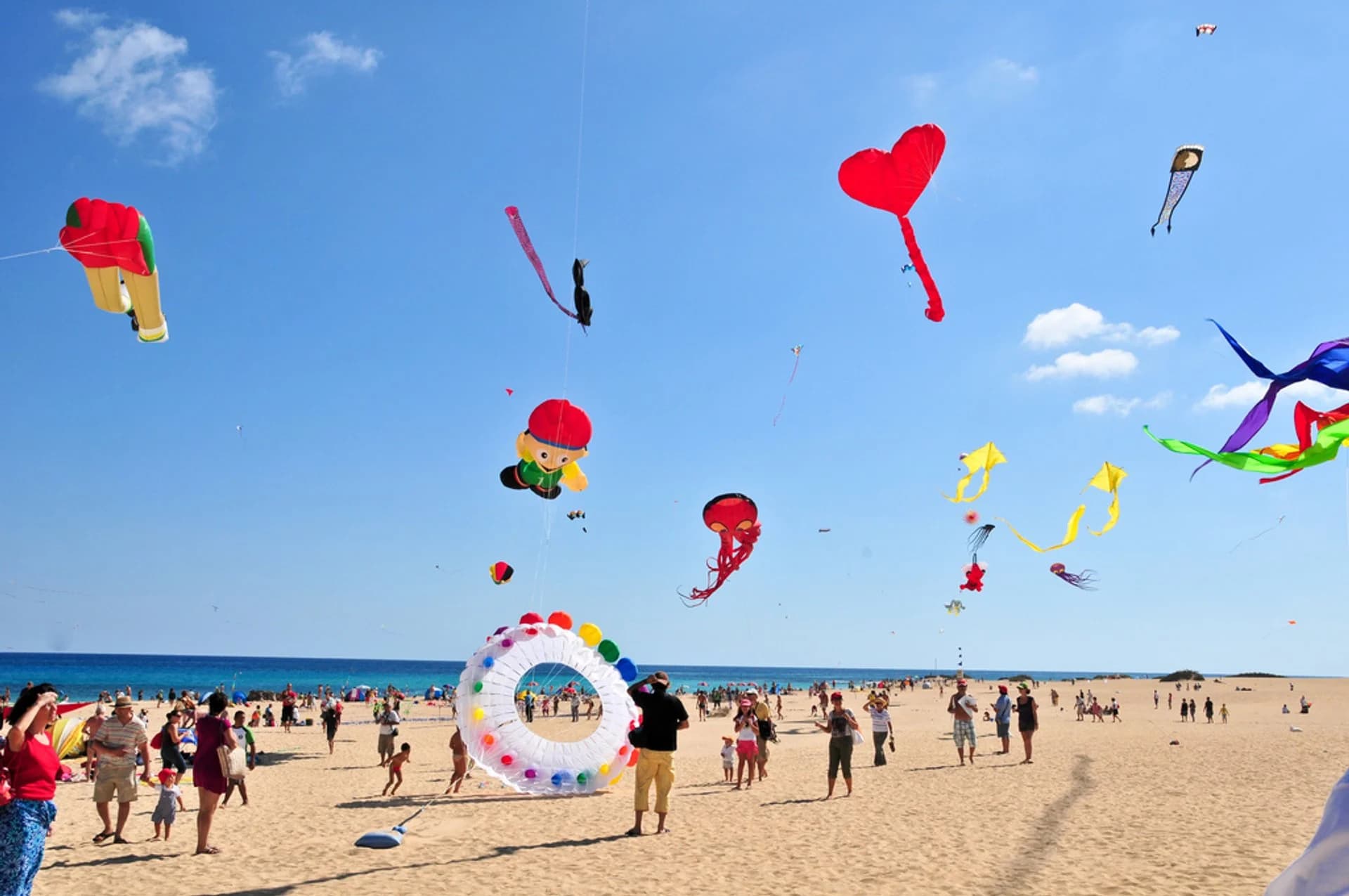 Fuerteventura International Kite Festival - Art in the Sky