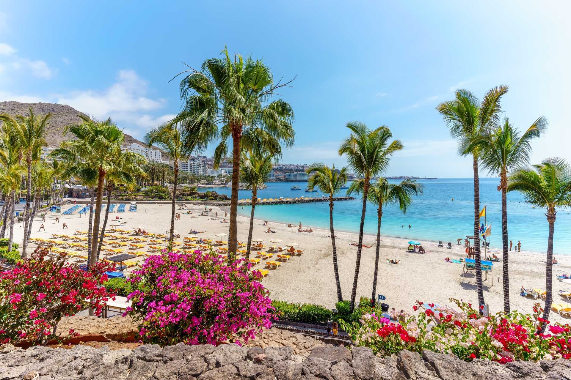 Gran Canaria - The Miniature Continent of the Canary Islands